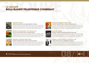 PUBLICIS GROUPE ANNUAL REPORT 2011